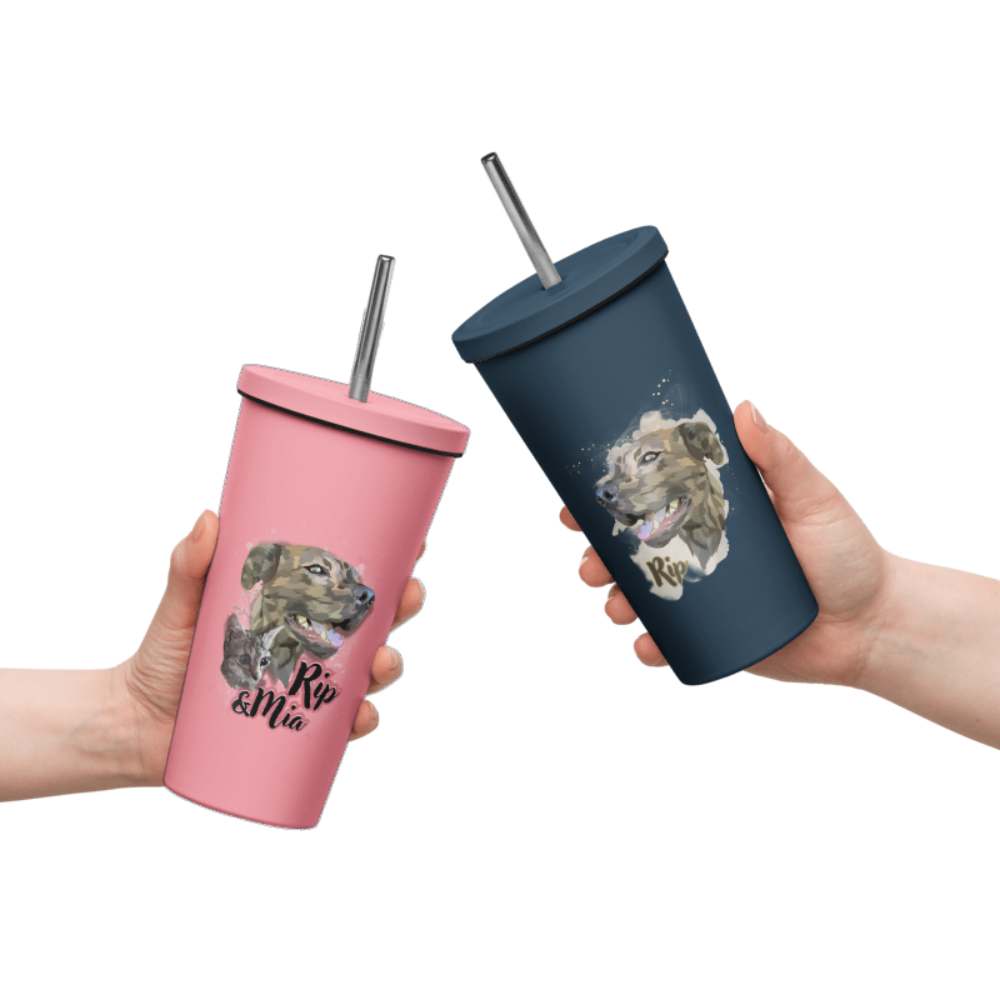 Insulated Tumbler with a Straw