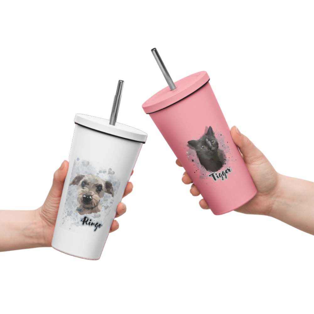 Insulated Tumbler with a Straw