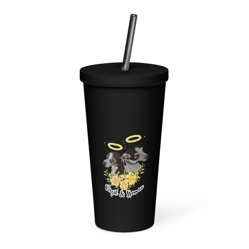 Insulated Tumbler with a Straw