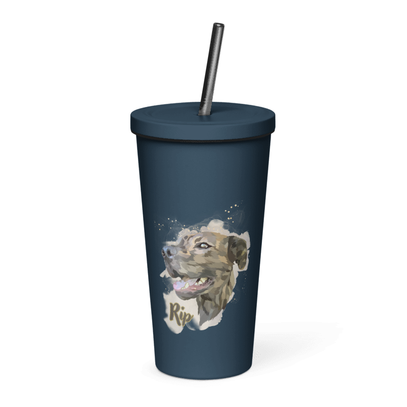 Insulated Tumbler with a Straw