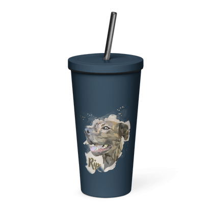 Insulated Tumbler with a Straw