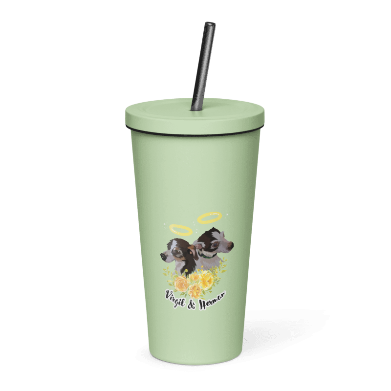 Insulated Tumbler with a Straw