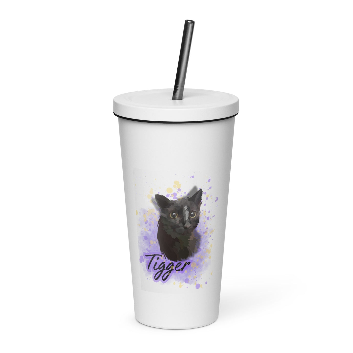 Insulated Tumbler with a Straw